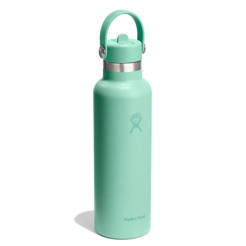 Hydro Flask 21 OZ (621ml) Std Mouth Flex Straw Cap Mermaid green